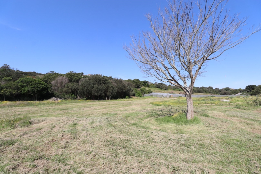 Commercial Property for Sale in Chelsea Eastern Cape